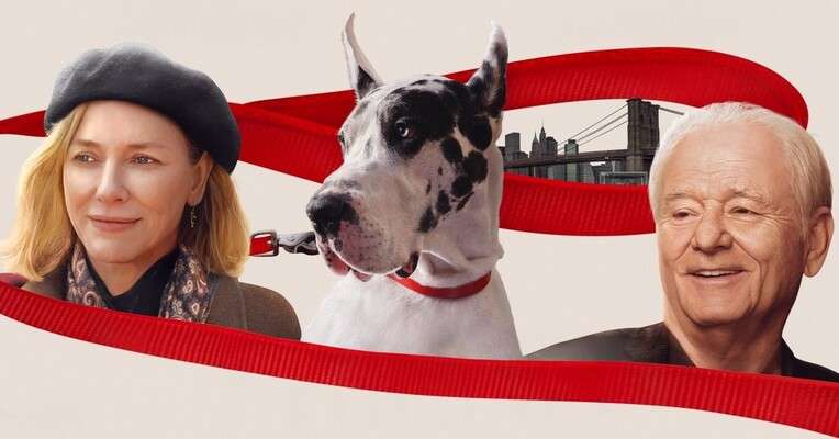 پوستر فیلم The Friend 2024