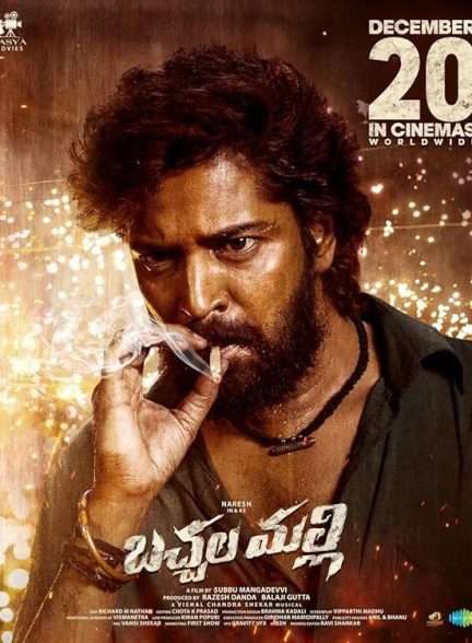 دانلود فیلم باچالا مالی Bachhala Malli 2024 دوبله فارسی