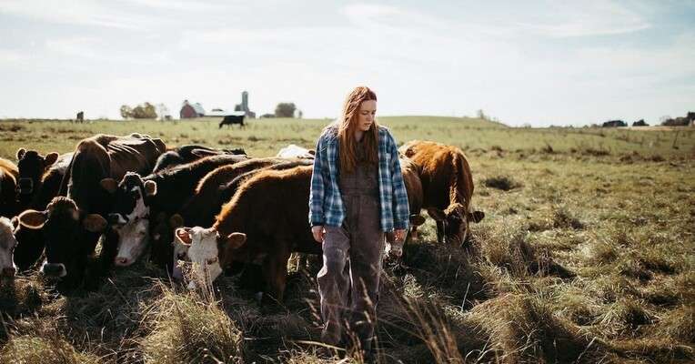 پوستر فیلم Green and Gold 2025